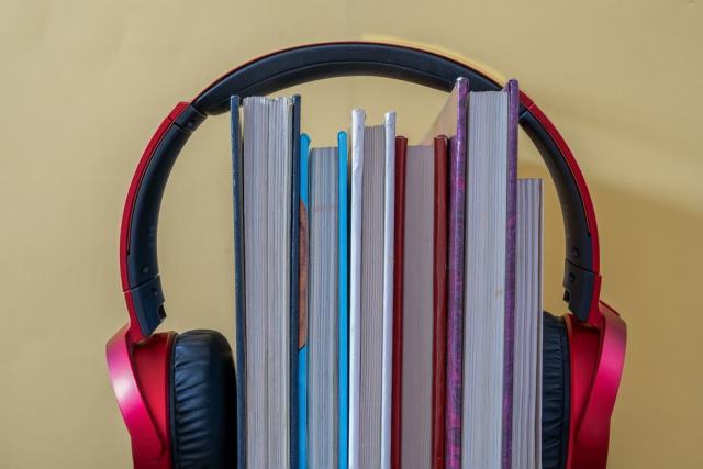 Sennheiser CX Sport