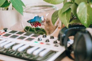 Focal Listen Wireless : le nomade du constructeur français