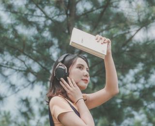 JBL T205 : l’intra filaire à embouts métalliques