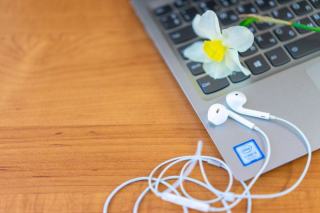 Sennheiser CX 300-II : l’intra filaire classique